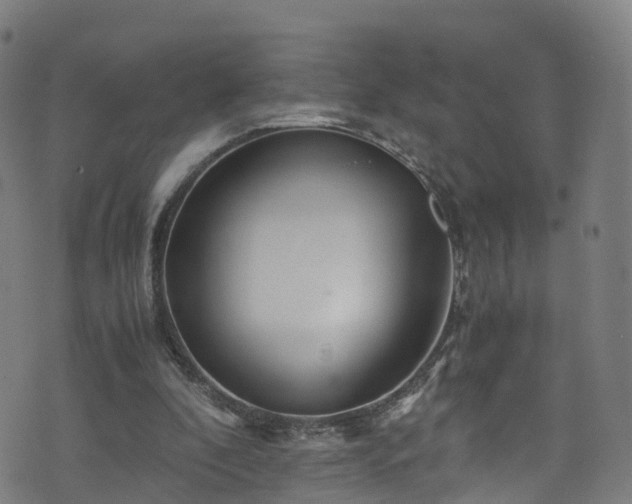 X0000076270296200610051317