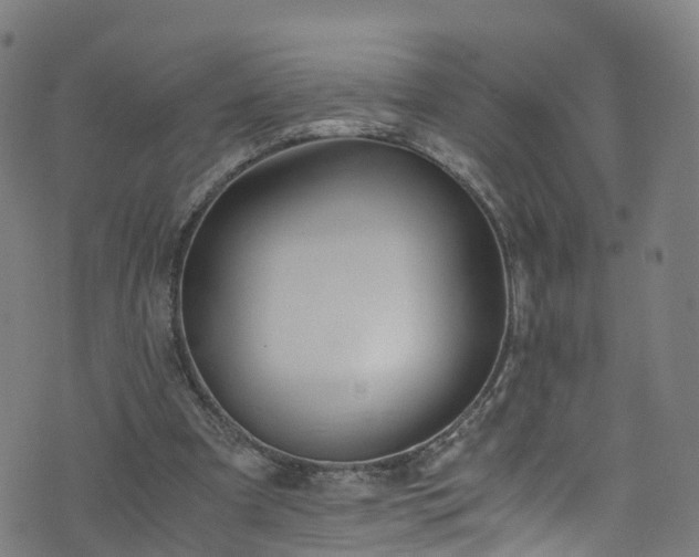 X0000076270297200610051317