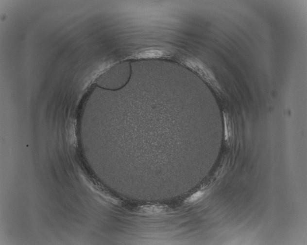 X0000076270300200610051317