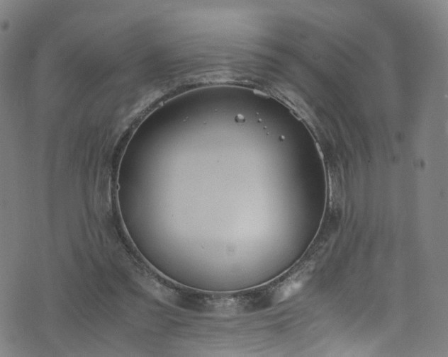 X0000076270301200610051317