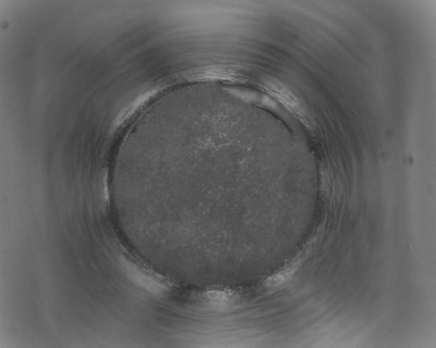 X0000076270302200610051317