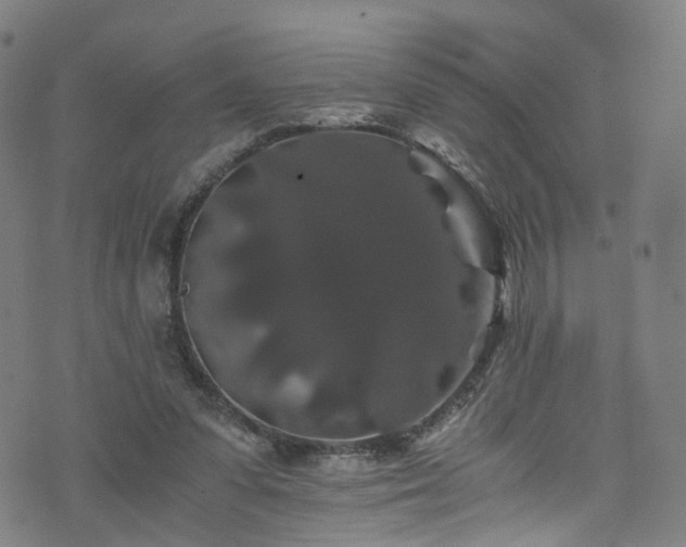 X0000076270303200610051317