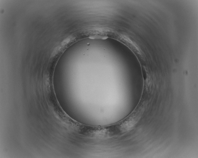 X0000076270306200610051317