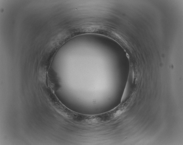 X0000076270307200610051317