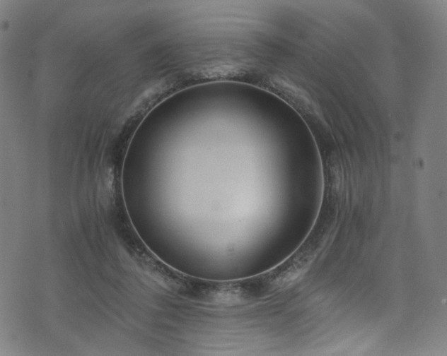 X0000076270308200610051317