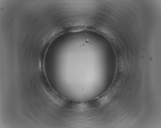 X0000076270310200610051317