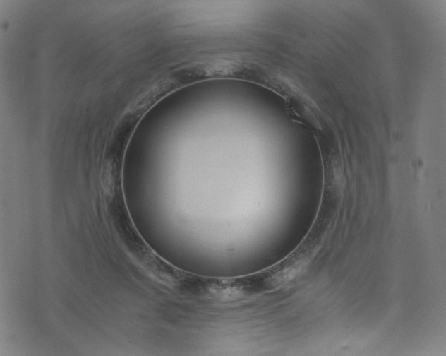 X0000076270311200610051317