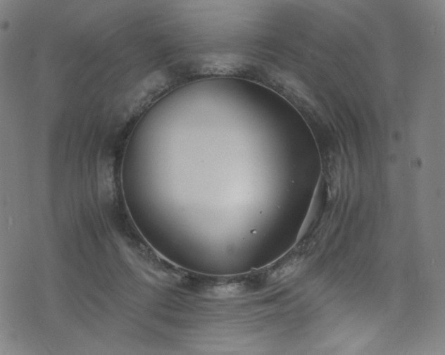 X0000076270312200610051317