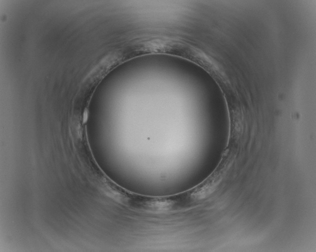 X0000076270313200610051317