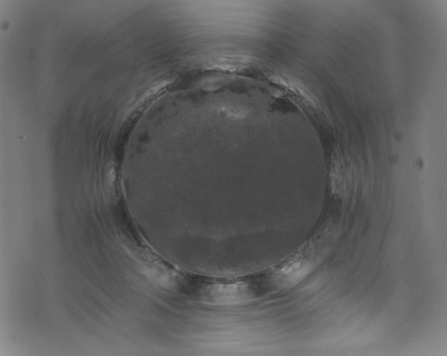 X0000076270314200610051317