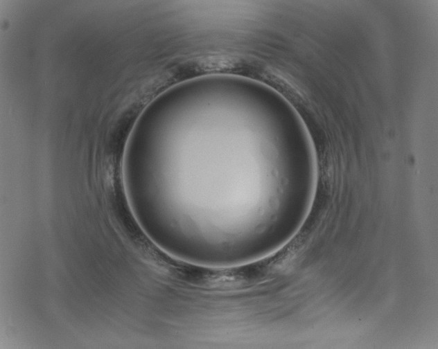 X0000076270315200610051317