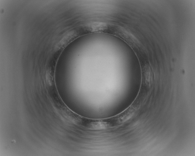 X0000076270316200610051317