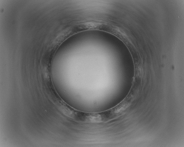 X0000076270317200610051317