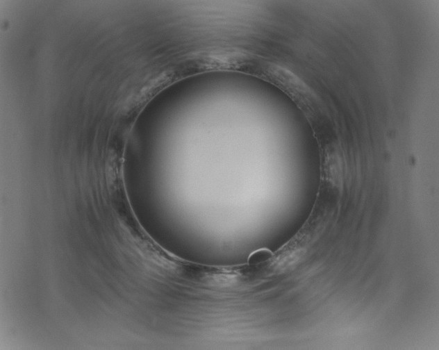 X0000076270318200610051317