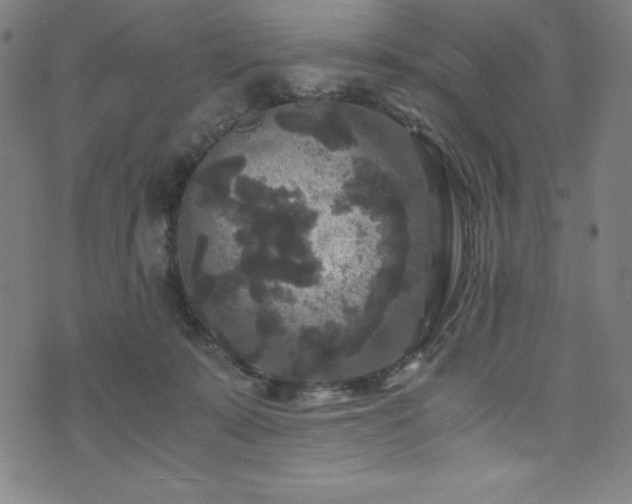 X0000076270319200610051317