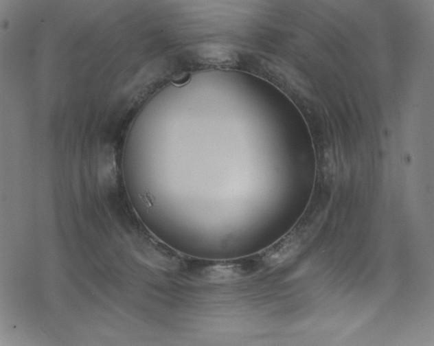 X0000076270320200610051317