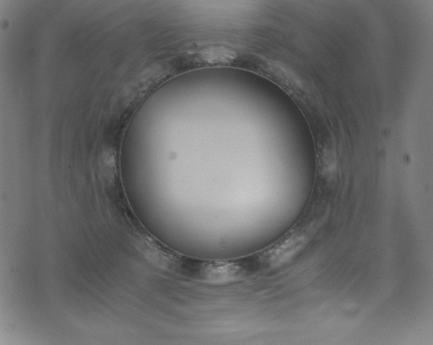 X0000076270321200610051317