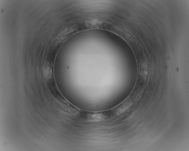 X0000076270324200610051317