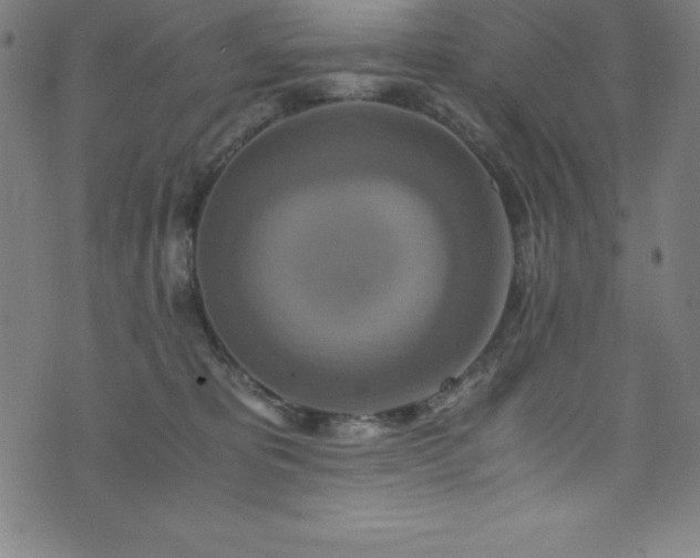 X0000076270325200610051317