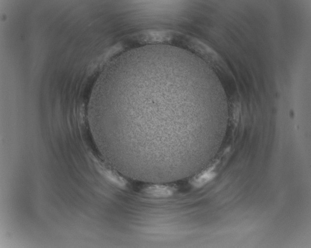 X0000076270326200610051317