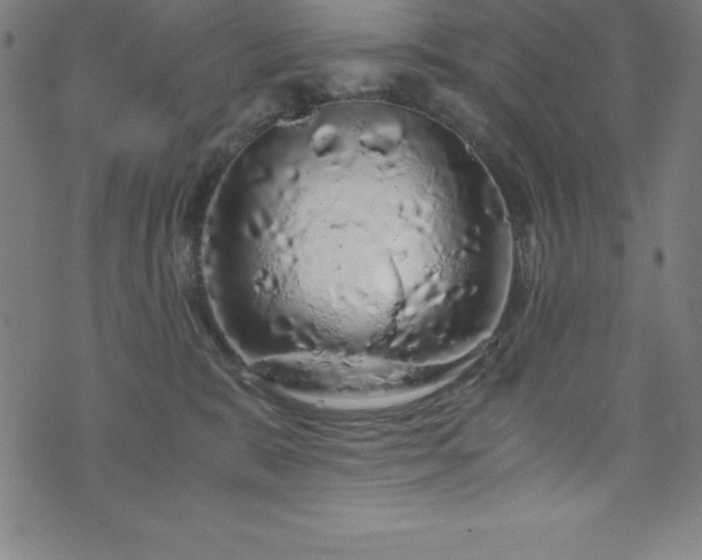 X0000076270327200610051317