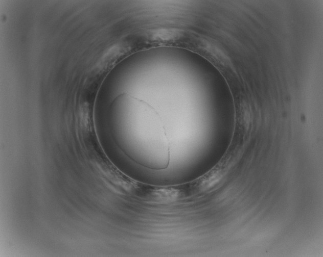 X0000076270328200610051317