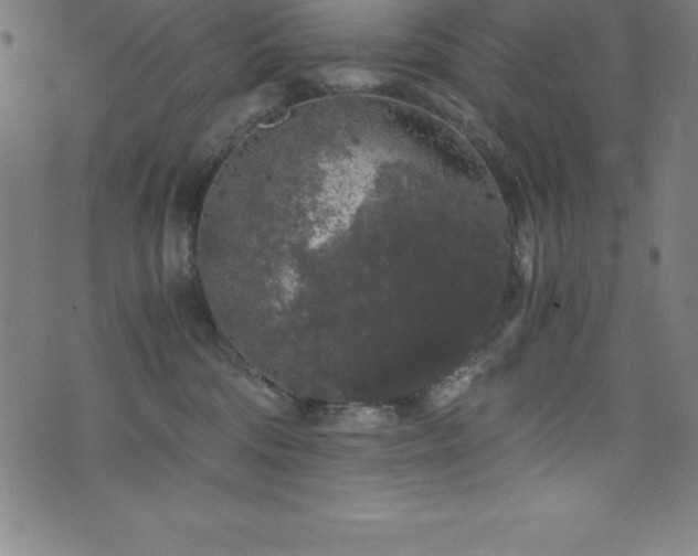 X0000076270330200610051317