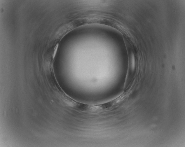 X0000076270333200610051317