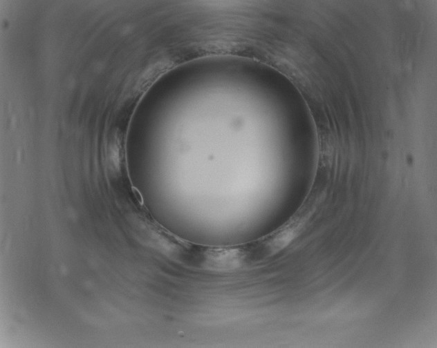 X0000076270334200610051317