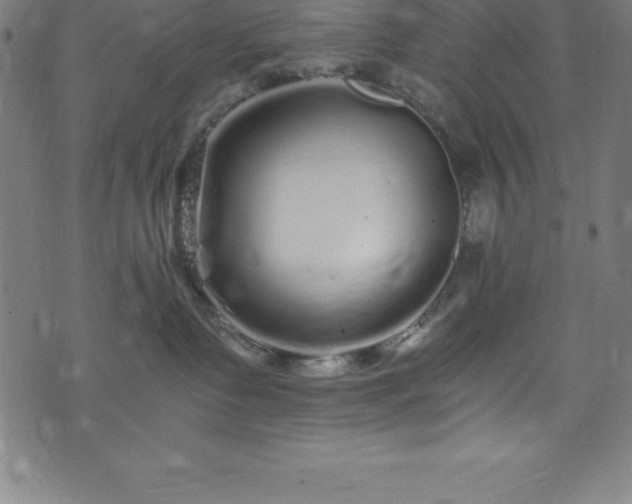 X0000076270335200610051317