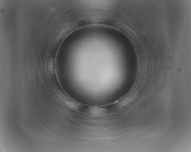 X0000076270336200610051317