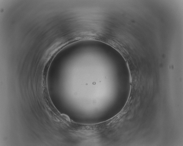 X0000076270338200610051316