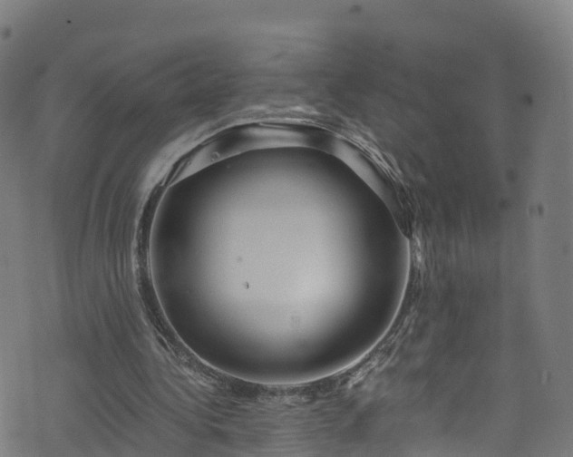 X0000076270340200610051316