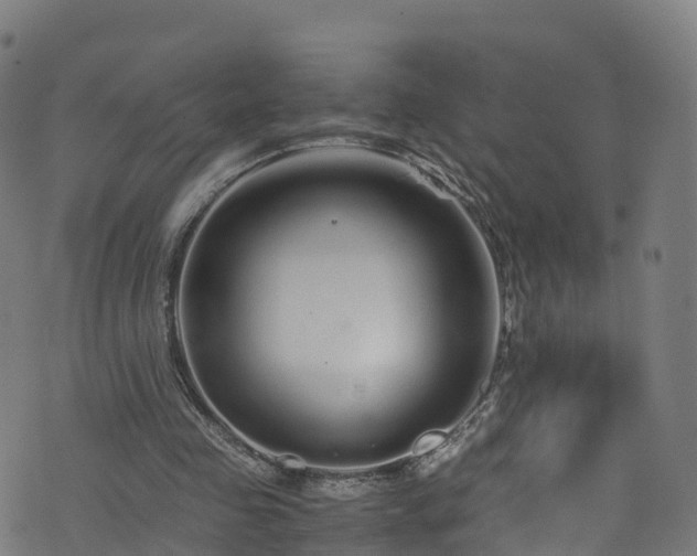 X0000076270341200610051316