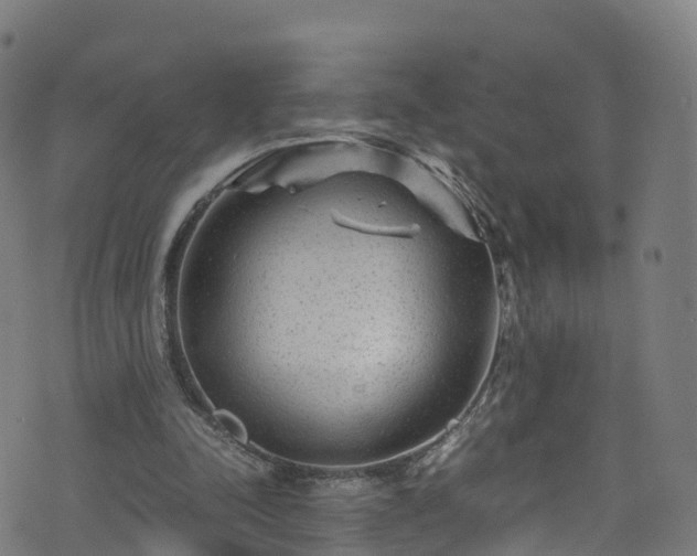 X0000076270342200610051316