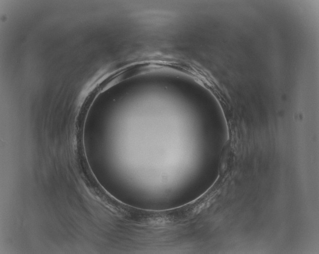 X0000076270344200610051316