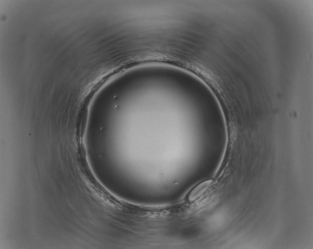 X0000076270345200610051316