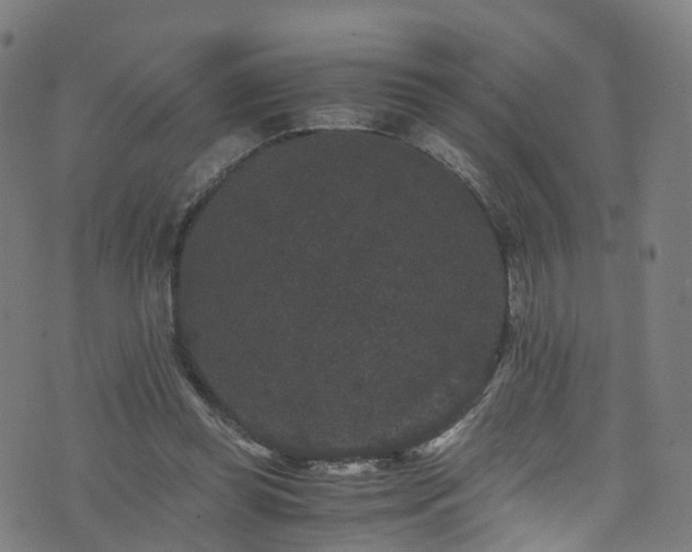 X0000076270349200610051316