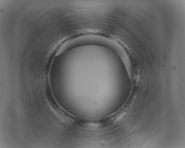 X0000076270352200610051316