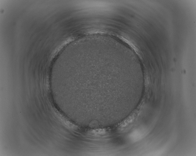 X0000076270353200610051316