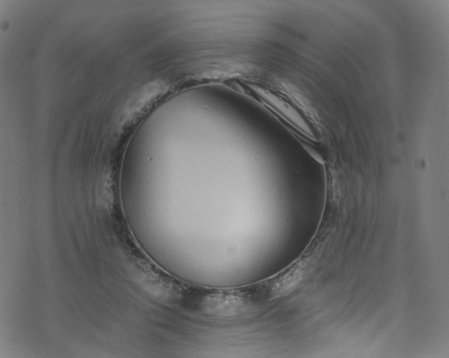 X0000076270354200610051316