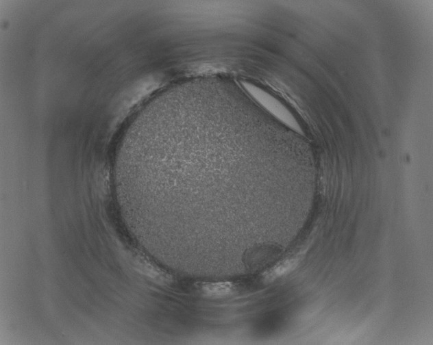 X0000076270355200610051316