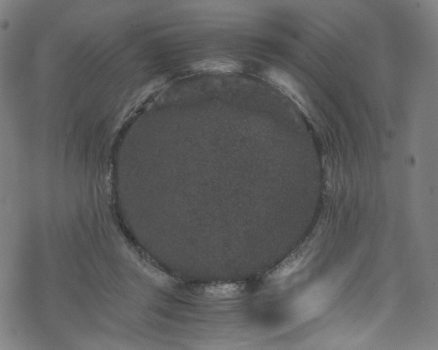 X0000076270357200610051316