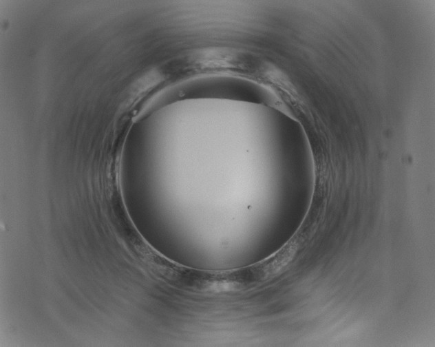 X0000076270360200610051316