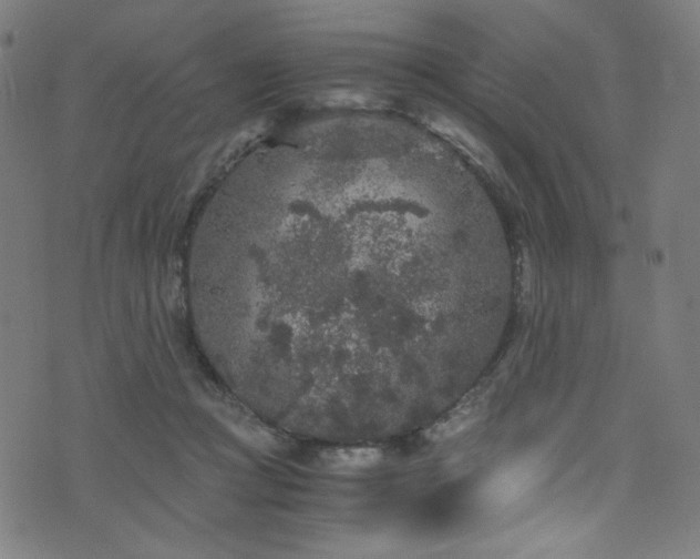 X0000076270361200610051316