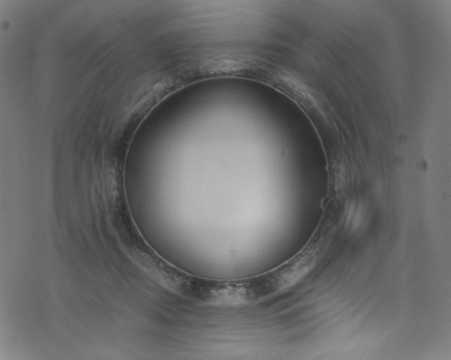 X0000076270362200610051316