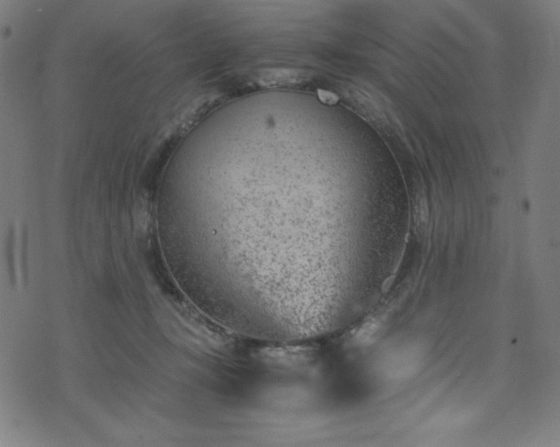 X0000076270367200610051316