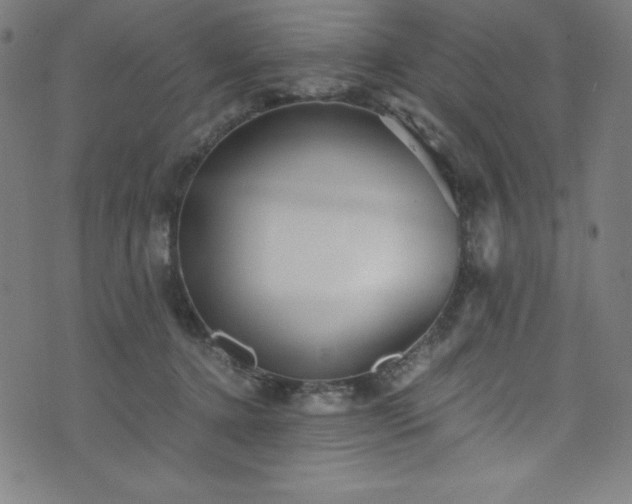 X0000076270368200610051316