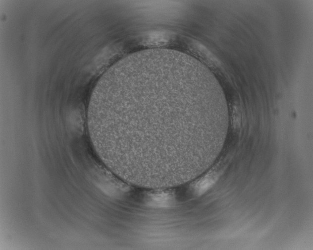 X0000076270370200610051317