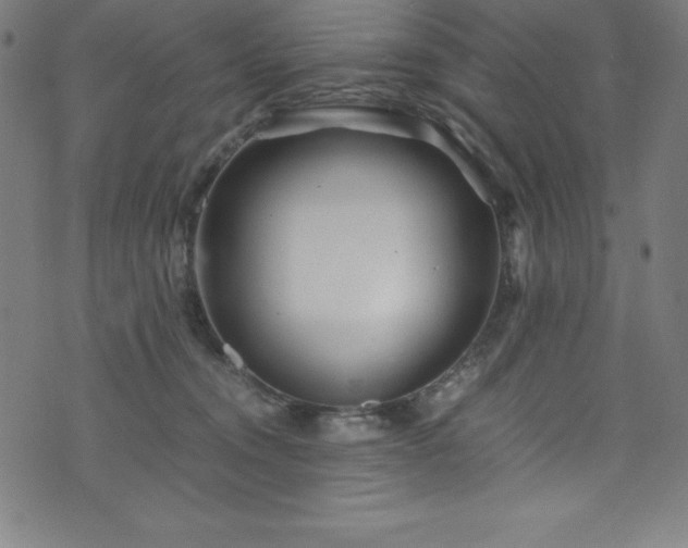 X0000076270372200610051317